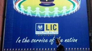 LIC, LIC stock market investments, V K Sharma, LIC shares, market index, Indian government, LIC equity investments, Indian markets 