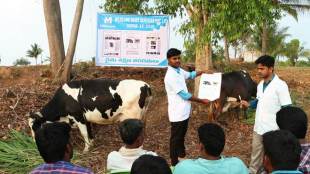 start up dairy, milklane, dairy firm milklane, pioneering ventures, schreiber foods, ultra high net, capital for expansion purpose, milk collection operations