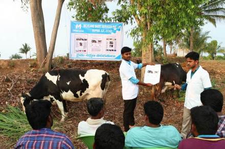 start up dairy, milklane, dairy firm milklane, pioneering ventures, schreiber foods, ultra high net, capital for expansion purpose, milk collection operations start up dairy, milklane, dairy firm milklane, pioneering ventures, schreiber foods, ultra high net, capital for expansion purpose, milk collection operations