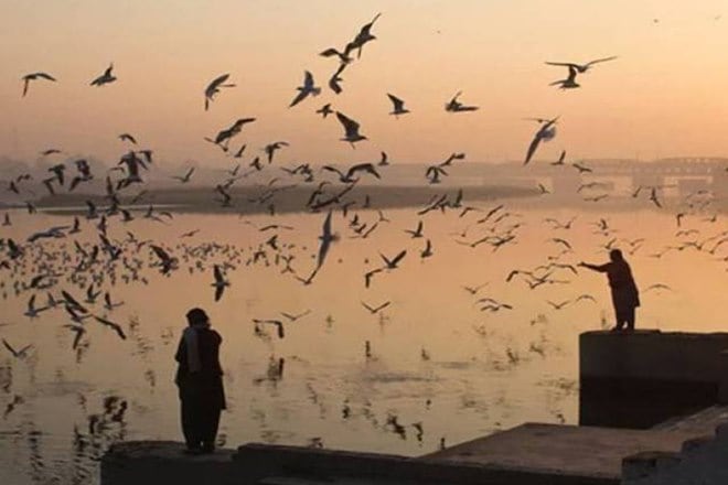 dda, Delhi Development Authority, Yamuna floodplain, biodiversity park, DDA to NGT, National Green Tribunal, ngt dda, Delhi Development Authority, Yamuna floodplain, biodiversity park, DDA to NGT, National Green Tribunal, ngt