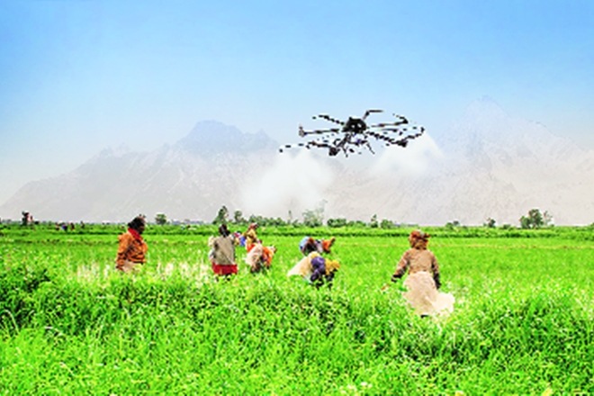 artificial intelligence in agriculture, agriculture artificial intelligence, artificial intelligence use in agriculture production