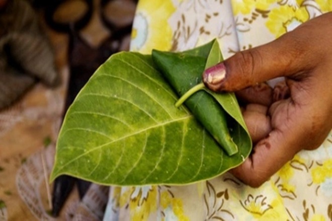 Jardalu mango, Katarani paddy, Magahi betel leaf