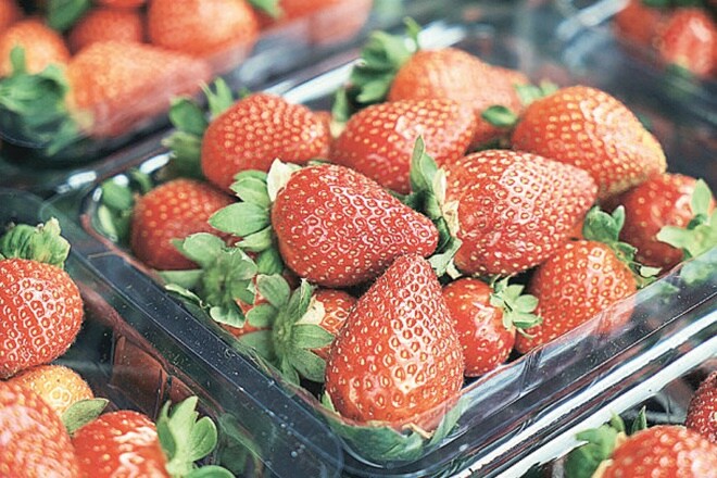 strawberry, Strawberry Growers Association of India, SGAI,  strawberry plantations 