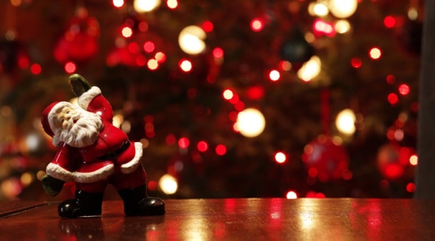 india's tallest christmas tree, tallest christmas tree in the world, tallest christmas tree in india, tallest christman tree, hight of tallest christmas tree india's tallest christmas tree, tallest christmas tree in the world, tallest christmas tree in india, tallest christman tree, hight of tallest christmas tree