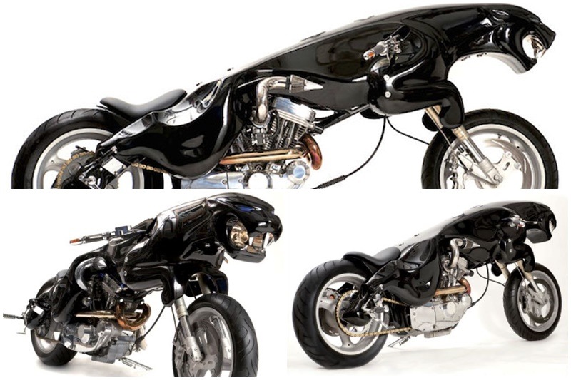 Night Shadow: A very appropriate contender on this list, the Night Shadow built by Massow Concept Cycles is as outrageous as it gets. The mechanicals of it were primarily sourced from eBay, 1997 Buell S3 Thunderbolt outfitted with a Sportster-based V-Twin 1200cc engine. A sculptor was employed to make a mold and fabricate a glass-fibre fairing to curvaceously cover the mechanical side of matters. The Jaguar's frowing head serves as the headlamp and the three-year project spells out at every inch, "All eyes on me!" (Image: Massow Concept Cycles)
