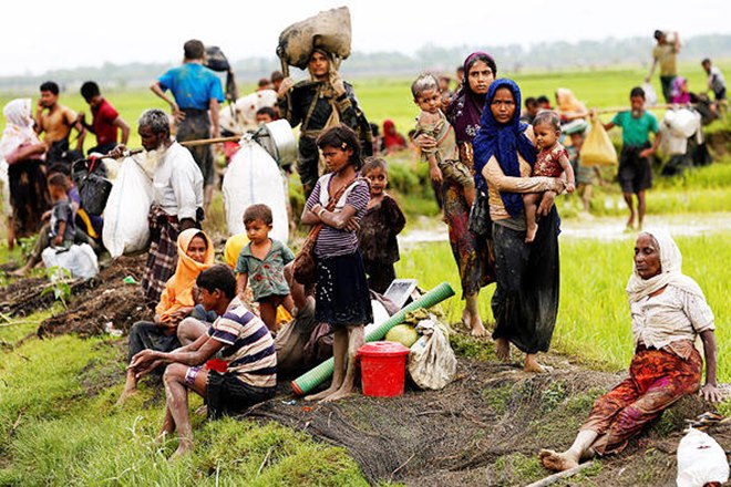 rohingya, myanmar, genocide against rohingya, guilty of genocide, guilty of genocide against rohingya, rakhine, general assembly, criminal probe rohingya, myanmar, genocide against rohingya, guilty of genocide, guilty of genocide against rohingya, rakhine, general assembly, criminal probe