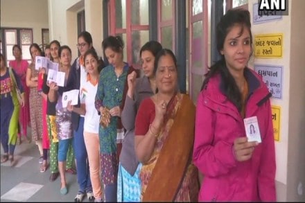 Gujarat Patan election results 2017 of Radhanpur, Chanasma, Patan, Sidhpur, Kheralu, Unjha, Visnagar constituencies Gujarat Patan election results 2017 of Radhanpur, Chanasma, Patan, Sidhpur, Kheralu, Unjha, Visnagar constituencies