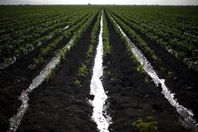 irrigation census, census irrigation, irrigation schemes in india, india irrigation schemes