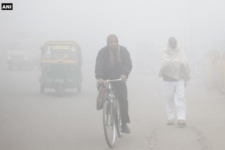 up weather, UP fog, UP weather, uttar pradesh temperature, uttar pradesh fog, uttar pradesh weather, UP fog accidents, UP road accidents, UP winters