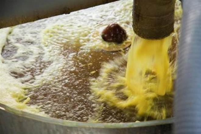 iit kharagpur, iit scientists, electricity generation, generate electricity through onion skin, onion skin, onion electricity iit kharagpur, iit scientists, electricity generation, generate electricity through onion skin, onion skin, onion electricity