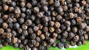 pepper, pepper import , floor price, pepper growers