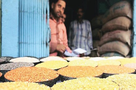 import duty on chickpeas, lentils, Rabi season, Rabi season, India wheat production, production of pulses, domestic prices of pulses, import of pulses, imports of pulses import duty on chickpeas, lentils, Rabi season, Rabi season, India wheat production, production of pulses, domestic prices of pulses, import of pulses, imports of pulses