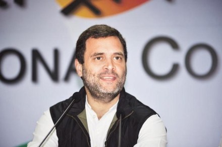 congress, rahul gandhi, rahul gandhi congress president, congress president, congress chief, rahul gandhi in gujarat, congress in gujarat, gujarat elections, congress victory, congress win, congress in punjab, punjab elections