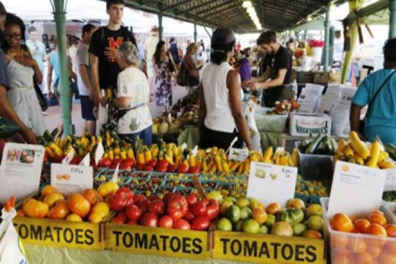 "The lack of a sustained pickup in core CPI does make the Fed deliberations about the pace of monetary policy tightening next year more complicated," said Kathy Bostjancic, head of U.S. macro investor services . (Reuters) "The lack of a sustained pickup in core CPI does make the Fed deliberations about the pace of monetary policy tightening next year more complicated," said Kathy Bostjancic, head of U.S. macro investor services . (Reuters)