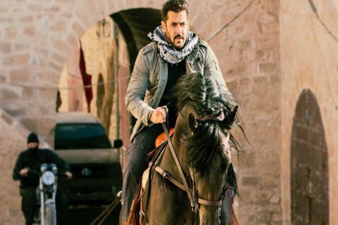 tiger zinda hai, tiger zinda hai box office collection, tiger zinda hai collection, tiger zinda hai overseas box office collection, salman khan, Katrina kaif, Ek Tha Tiger, TZH, Tiger zinda hai movie download tiger zinda hai, tiger zinda hai box office collection, tiger zinda hai collection, tiger zinda hai overseas box office collection, salman khan, Katrina kaif, Ek Tha Tiger, TZH, Tiger zinda hai movie download