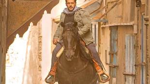 tiger zinda hai, salman khan katrina kaif starrer tiger zinda hai, tiger zinda hai action film, why watch tiger zinda hai, tiger zinda hai movie details, tiger zinda hai storyline, tiger zinda hai screenplay, tiger zinda hai ticket price,