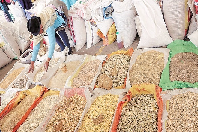 Maharashtra government, GEAC, Bt seeds, NSAI, genetic engineering, seed companies, co marketing of brands