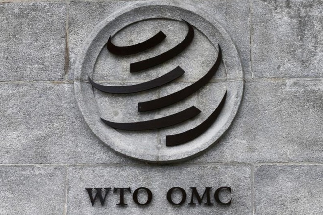 wto food procurement, food procurement wto, wto summit food procurement