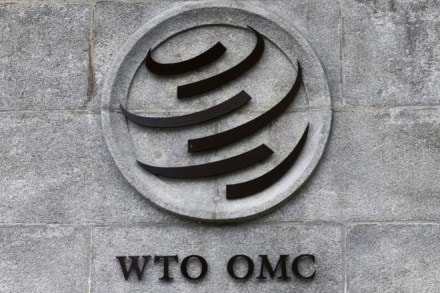 wto food procurement, food procurement wto, wto summit food procurement