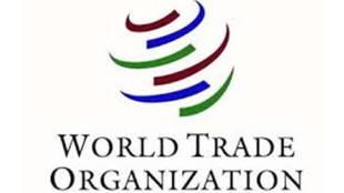 Undocumented digital services, globalisation, WTO ministerial meeting, gdp, US, Boston Consulting Group, Internet of Things, global GDP growth,Texas,  value of goods and services