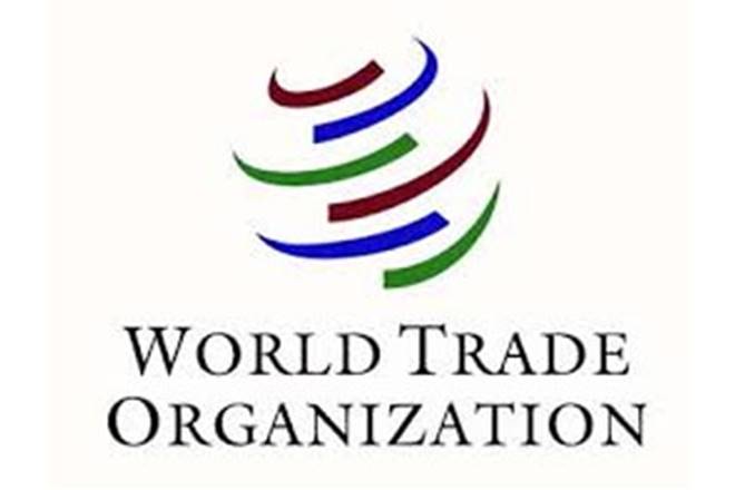 Undocumented digital services, globalisation, WTO ministerial meeting, gdp, US, Boston Consulting Group, Internet of Things, global GDP growth,Texas,  value of goods and services