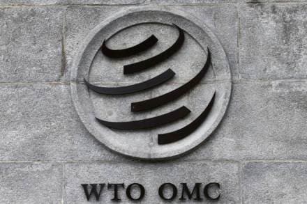 us food procurement, wto food procurement, wto food procurement credibility, india on food procurement, india on wto food procurement
