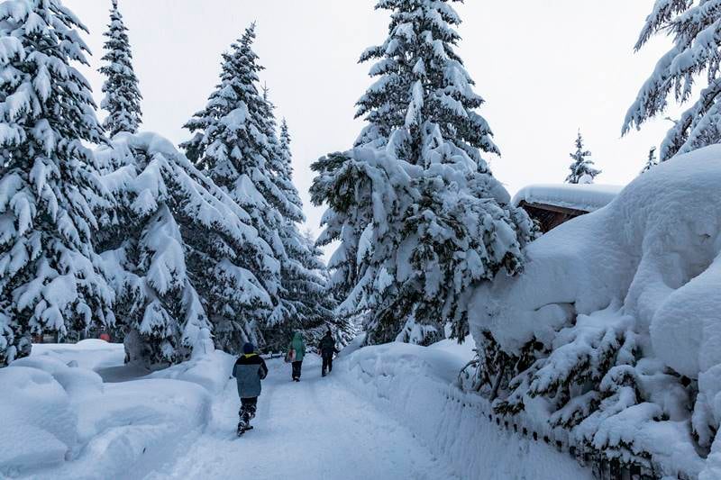 Switzerland, avalanche, Switzerland avalanche, Zermatt, helicopter flights, Snowfall, Swiss ski resort, tourists, Zermatt tourism, switzerland tourism, world news