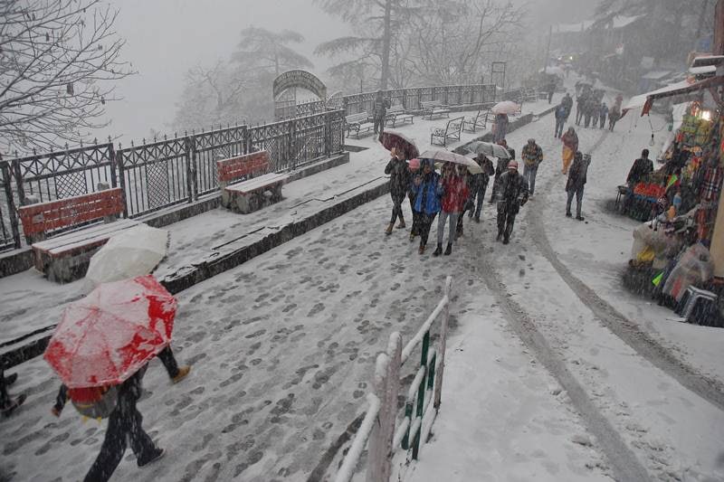 Nohra Dhar, Gatta Dhar, Bathau Dhar and Banali Dharare recorded 6 cm to 8 cm of snow, the MeT department said. (PTI Photo)