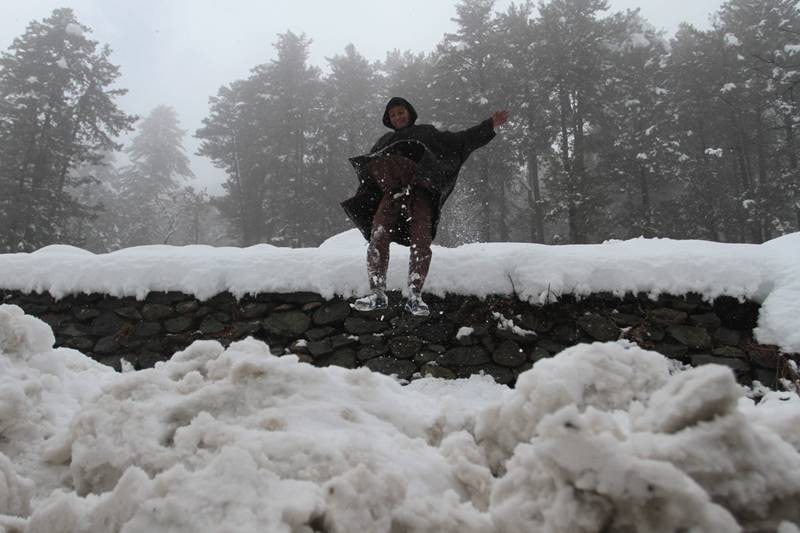 Rains and snowfall has brought cheers to farmers, apple growers and hoteliers. (Image: Indian Express Photo)