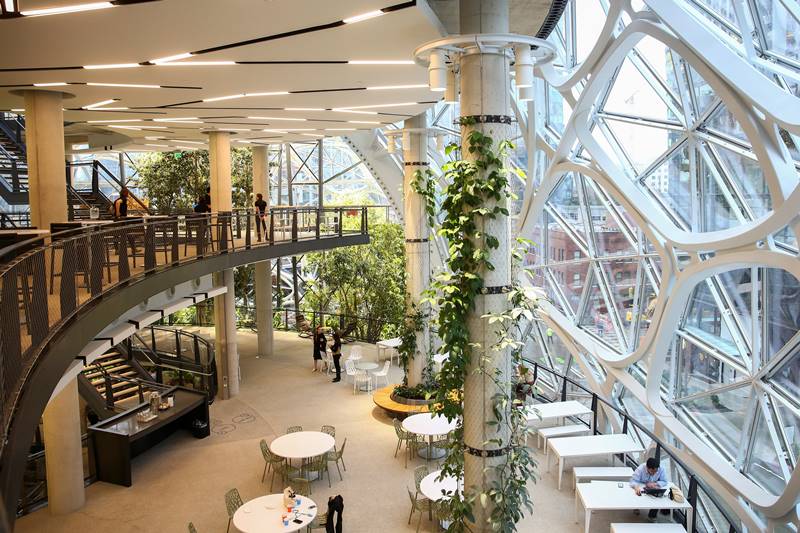 The Spheres' three glass domes house some 40,000 plants of 400 species. (Image: Reuters)