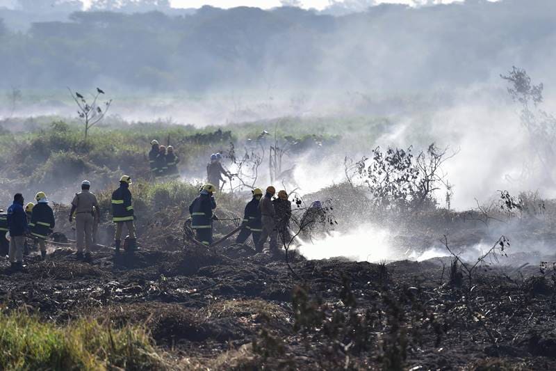 The defence department maintained that the fire was in the lake area and not anywhere near the land held by it. (PTI Photo)