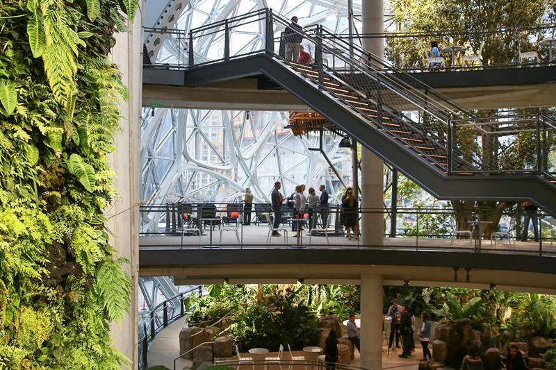 The space is more like a greenhouse than a typical office. Instead of enclosed conference rooms or desks, there are walkways and unconventional meeting spaces with chairs. (Image: Reuters)