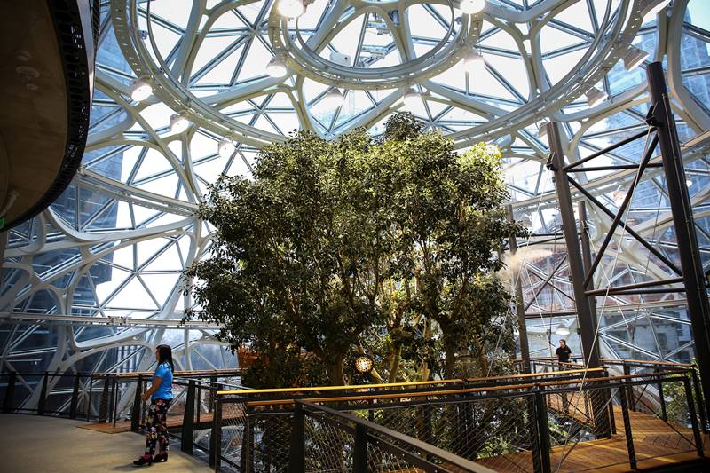 Earlier this month, the online retailer narrowed 238 applications for its second headquarters to 20. The finalists, from Boston and New York to Austin, Texas, largely fit the bill of being big metropolises that can attract highly educated tech talent. (Image: Reuters)