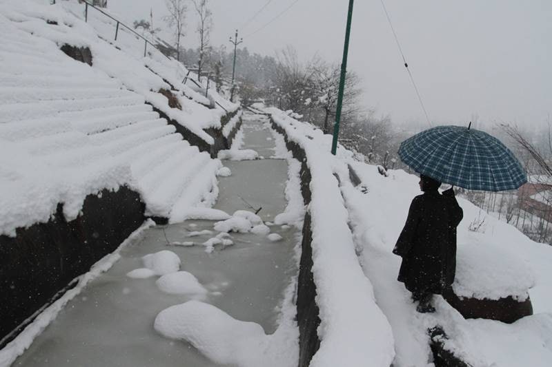 Kufri, Chail, Fagu and Narkanda received moderate snowfall while Churdhar ranges in Sirmaur, Chansel Pass and Nankhari area of Rampur were experiencing intermittent snowfall. (Image: Indian Express Photo)