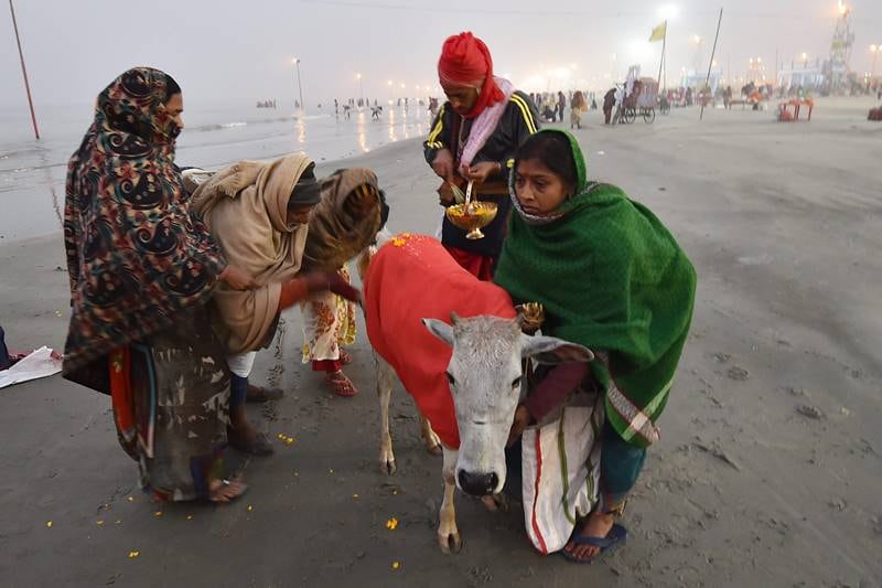 Makar Sankranti 2018, Sankranti 2018, Happy Makar Sankranti, Makar Sankranti Images, makar sankranti wishes, makar sankranti history, makar sankranti importance, makar sankranti significance