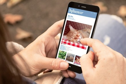 bloggers park, in app advertising, spyglass insights, ad free streaming, brandwagon