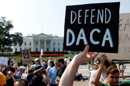 daca, daca application,judge blocks end to program, us resumes daca daca, daca application,judge blocks end to program, us resumes daca