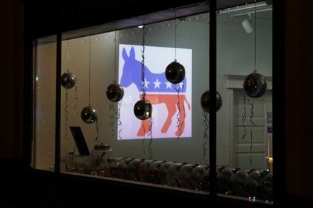 Indian-American, US states, Texas, Congressional elections, Democratic party