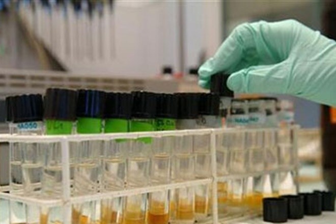 ipca lab, bse filing, pisgah labs, ipca acquires us api, us api developer