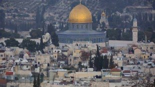 US, Palestinian food aid, US state department, world news