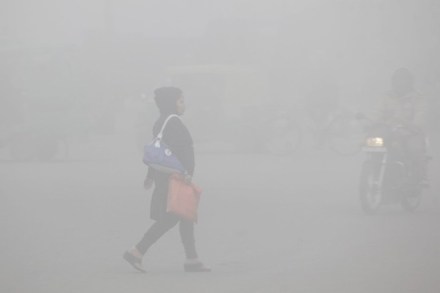 fog, up fog, cold, up cold, up weather, uttar pradesh weather, uttar pradesh cold, lucknow weather, lucknow temperature, temperaure in uttar pradesh, uttar pradesh winters, uttar pradesh trains