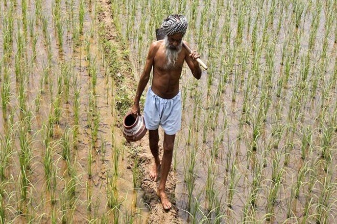 Telangana government, Farm subsidies,MNREGA, Farm subsidies in cash, kharif, rabi, Uttar Pradesh, Karnataka, kharif season, K Chandrashekar Rao, RBI,Tamil Nadu, Maharashtra