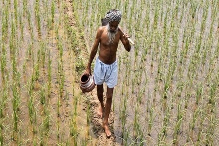 Telangana government, Farm subsidies,MNREGA, Farm subsidies in cash, kharif, rabi, Uttar Pradesh, Karnataka, kharif season, K Chandrashekar Rao, RBI,Tamil Nadu, Maharashtra