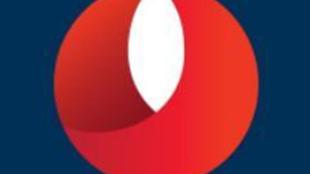 bandhan bank, bandhan bank ipo, bandhan bank turnover, bandhan bank revenue