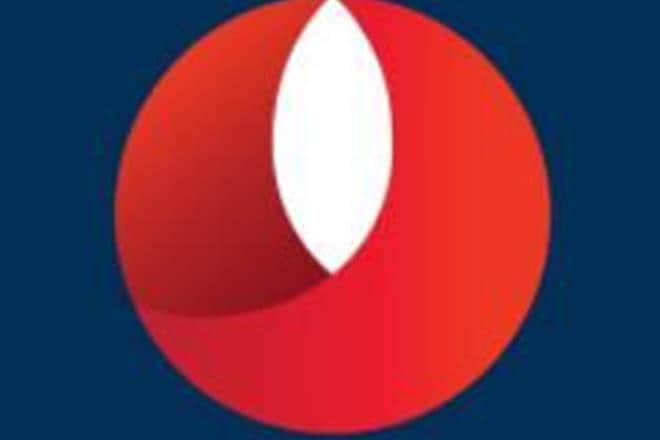 bandhan bank, bandhan bank ipo, bandhan bank turnover, bandhan bank revenue