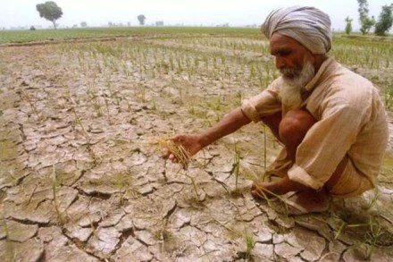 Another case of anomaly in Punjab farm loan waiver comes to light (Representational Image)