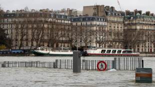floods, paris floods, france floods, river seine floods, paris alert, paris emergency, paris flood alert, flood in paris, france capital city flood alert, paris river