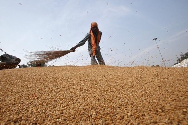 food storage, food storage capacity, steel silos, grains, grain storage, rajya sabha, parliament session, parliament, winter session