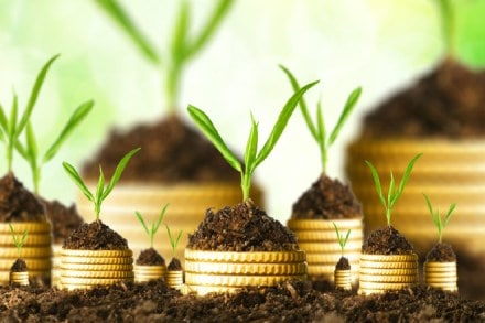 fundgram: investments of the week