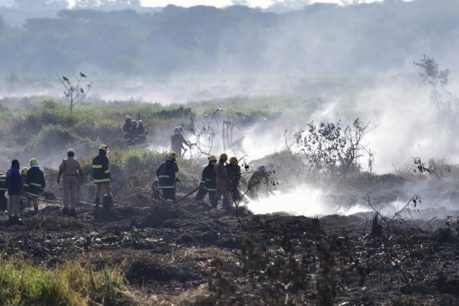 Bellandur Lake, Bellandur Lake fire, Bellandur Lake fire reasons, Bengaluru, Bengaluru lake, Bangalore, Bangalore lake fire, Bellandur Lake pollution, Pollution Control Board, water pollution, water pollutants, environment
